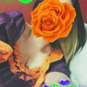 ヒメ日記 2025/10/29 14:01 投稿 みいな トマトなび