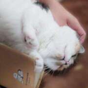 ヒメ日記 2025/10/29 15:29 投稿 みいな トマトなび