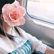 ヒメ日記 2025/11/06 10:16 投稿 みいな トマトなび