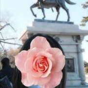 ヒメ日記 2025/11/06 17:35 投稿 みいな トマトなび