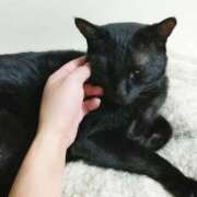 ヒメ日記 2025/11/13 12:26 投稿 みいな トマトなび