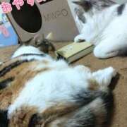 ヒメ日記 2025/11/14 23:50 投稿 みいな トマトなび