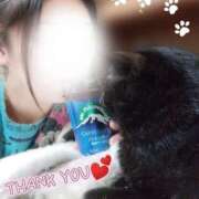 ヒメ日記 2025/11/16 18:51 投稿 みいな トマトなび