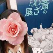 ヒメ日記 2025/11/17 14:07 投稿 みいな トマトなび