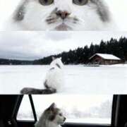 ヒメ日記 2025/11/17 18:11 投稿 みいな トマトなび