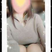 ヒメ日記 2025/11/19 14:09 投稿 みいな トマトなび