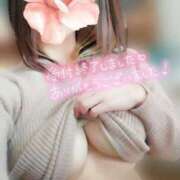 ヒメ日記 2025/11/19 14:30 投稿 みいな トマトなび