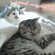 ヒメ日記 2025/11/23 22:03 投稿 みいな トマトなび