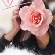 ヒメ日記 2025/11/26 00:11 投稿 みいな トマトなび