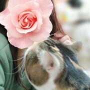 ヒメ日記 2025/11/30 20:28 投稿 みいな トマトなび