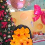 ヒメ日記 2025/12/02 12:05 投稿 みいな トマトなび