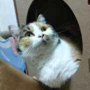 ヒメ日記 2025/12/09 18:26 投稿 みいな トマトなび