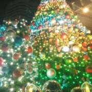 ヒメ日記 2025/12/14 23:11 投稿 みいな トマトなび