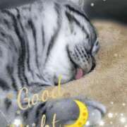 ヒメ日記 2025/12/18 00:26 投稿 みいな トマトなび