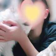 ヒメ日記 2025/12/20 20:13 投稿 みいな トマトなび