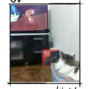 ヒメ日記 2025/12/25 12:05 投稿 みいな トマトなび