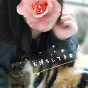 ヒメ日記 2026/01/20 07:02 投稿 みいな トマトなび