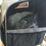 ヒメ日記 2026/02/09 11:09 投稿 みいな トマトなび