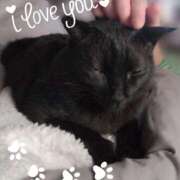 ヒメ日記 2026/02/12 01:42 投稿 みいな トマトなび