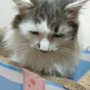 ヒメ日記 2026/02/17 18:08 投稿 みいな トマトなび