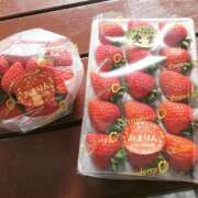 ヒメ日記 2026/02/18 16:35 投稿 みいな トマトなび