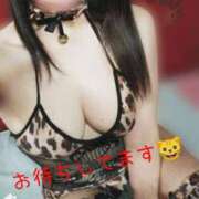 ヒメ日記 2026/02/21 07:32 投稿 みいな トマトなび