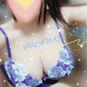 ヒメ日記 2026/02/21 22:26 投稿 みいな トマトなび