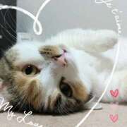 ヒメ日記 2026/03/26 01:41 投稿 みいな トマトなび