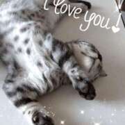 ヒメ日記 2026/04/01 00:08 投稿 みいな トマトなび