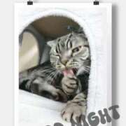 ヒメ日記 2026/04/03 03:01 投稿 みいな トマトなび