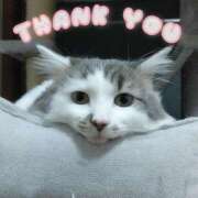 ヒメ日記 2026/04/05 22:49 投稿 みいな トマトなび