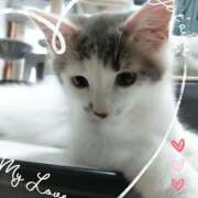 ヒメ日記 2026/04/09 00:42 投稿 みいな トマトなび