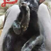 ヒメ日記 2026/04/13 23:26 投稿 みいな トマトなび