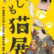 みいな 🐱「もしも猫展」🐱 トマトなび