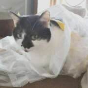 ヒメ日記 2026/04/19 21:56 投稿 みいな トマトなび