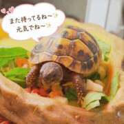 ヒメ日記 2026/08/18 22:52 投稿 みいな トマトなび