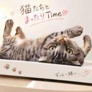 ヒメ日記 2026/09/19 20:16 投稿 みいな トマトなび