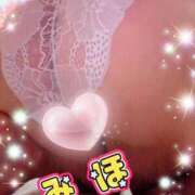 ヒメ日記 2025/05/12 20:31 投稿 みほ トマトなび