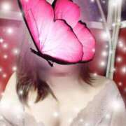 ヒメ日記 2025/05/13 20:48 投稿 みほ トマトなび