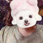 ヒメ日記 2025/05/21 20:56 投稿 みほ トマトなび