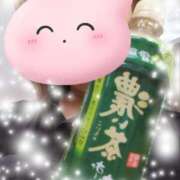 ヒメ日記 2025/07/29 10:58 投稿 みほ トマトなび