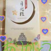 ヒメ日記 2025/08/24 16:45 投稿 みほ トマトなび