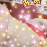 ヒメ日記 2025/08/26 10:22 投稿 みほ トマトなび