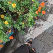 ヒメ日記 2025/10/02 10:02 投稿 みほ トマトなび