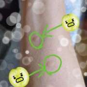 ヒメ日記 2025/10/15 18:09 投稿 みほ トマトなび