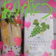 ヒメ日記 2025/10/24 15:30 投稿 みほ トマトなび