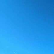 ヒメ日記 2025/11/10 08:39 投稿 みほ トマトなび