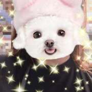 ヒメ日記 2025/11/27 10:18 投稿 みほ トマトなび