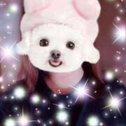 ヒメ日記 2025/12/11 09:42 投稿 みほ トマトなび