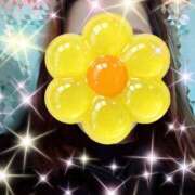 ヒメ日記 2026/01/08 10:53 投稿 みほ トマトなび